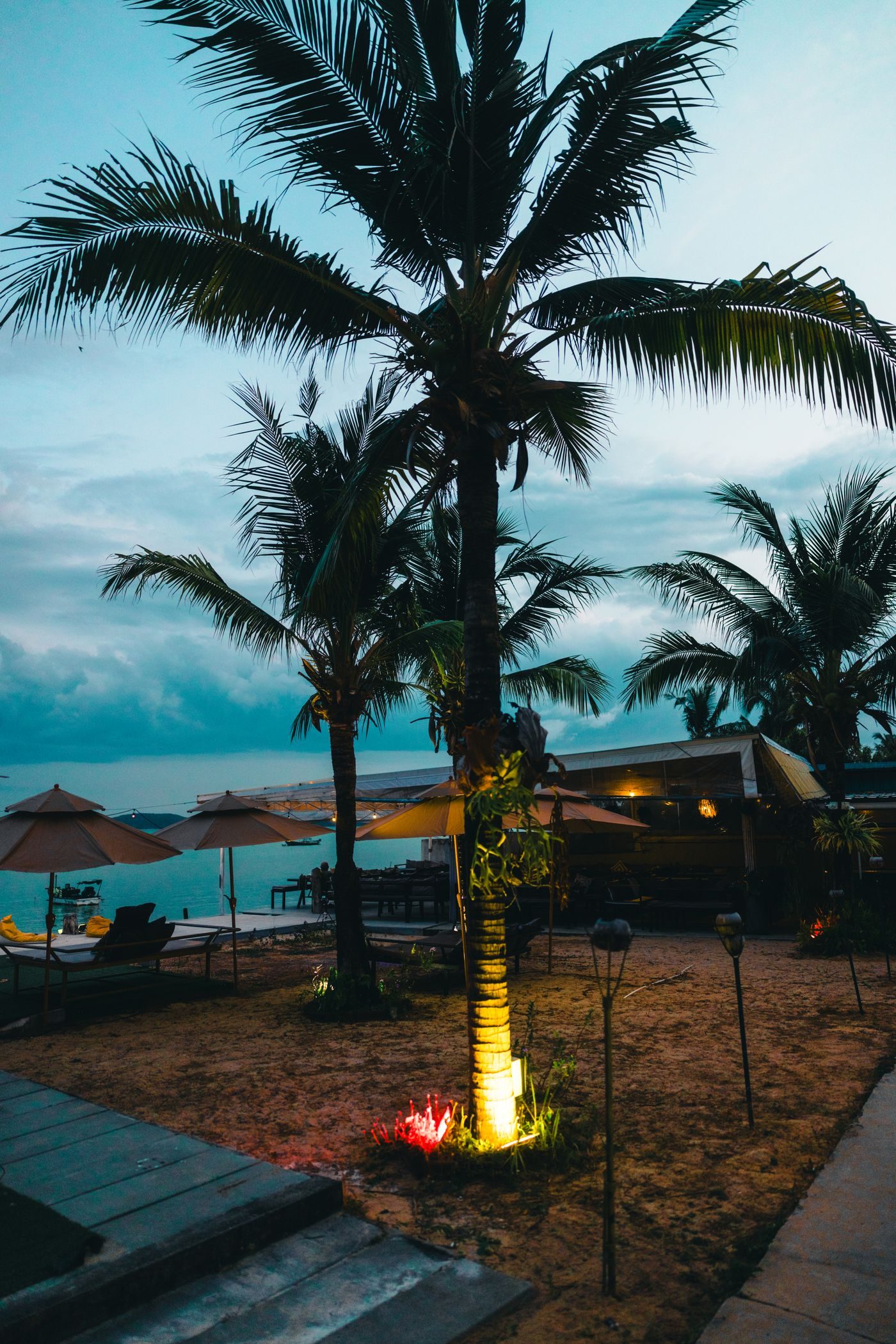 Beachfront restaurant with palm trees at twilight in Phuket